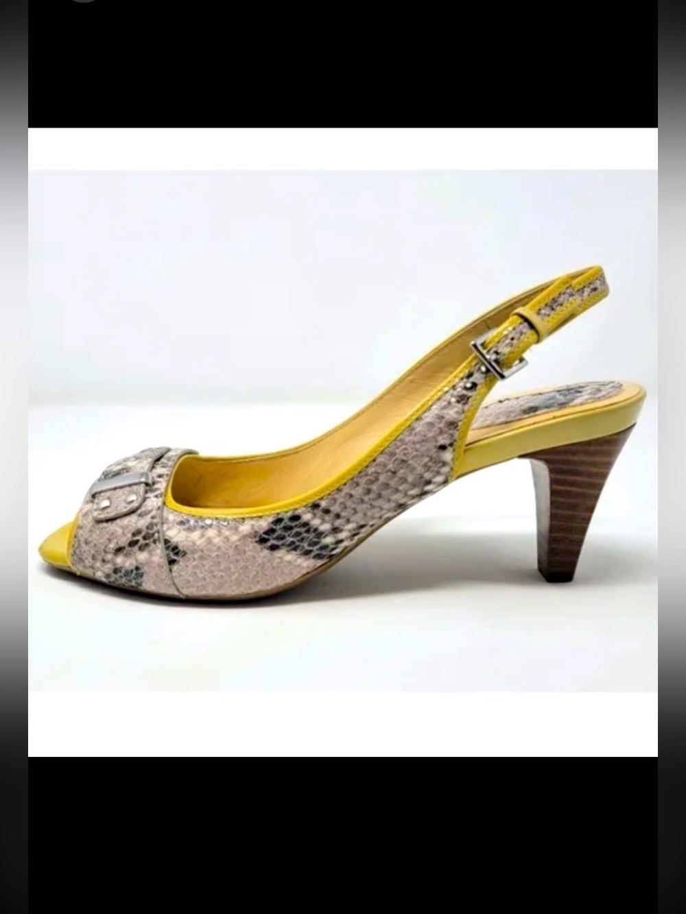 COLE HAAN shoes
